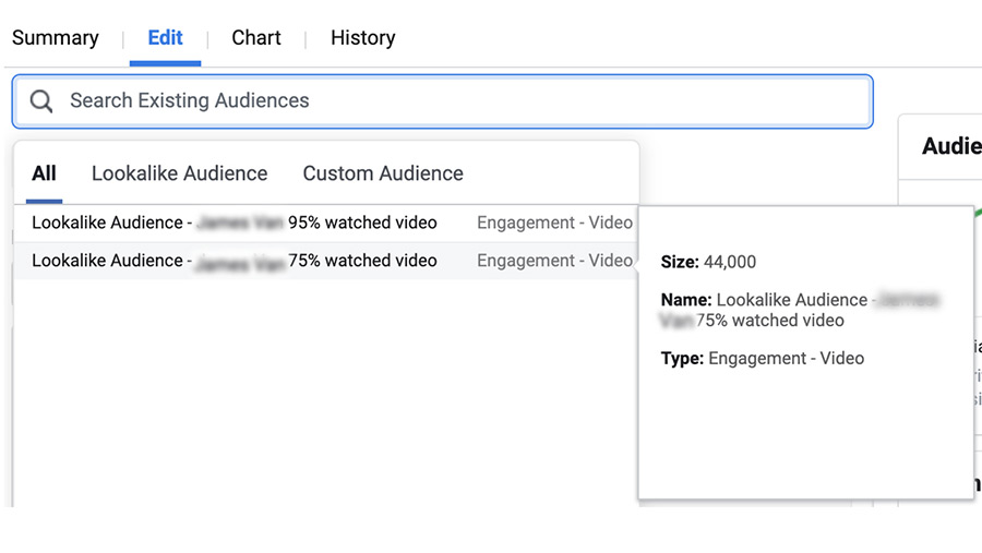 Facebook ad conversion lookalike audience