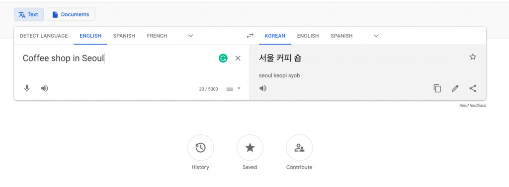 Google translates 