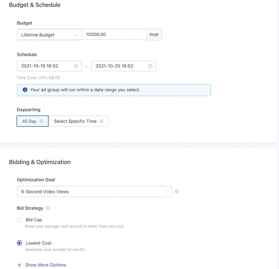 Example of Tiktok Budget, Schedule, and Bidding Setting