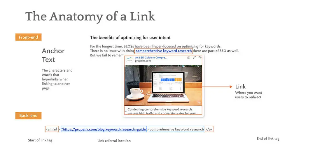 The anatomy of a website link