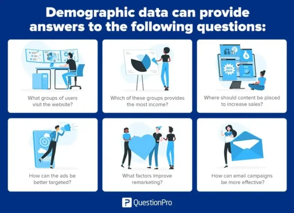 customer insights analysis demographic data